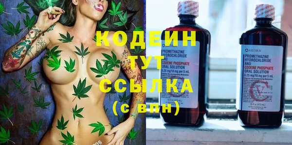 сатива Надым