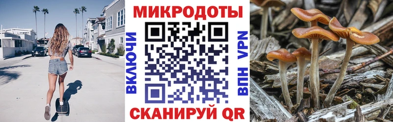 Купить закладки  Приозерск  Псилоцибиновые грибы мухоморы 